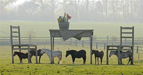 horseshelter