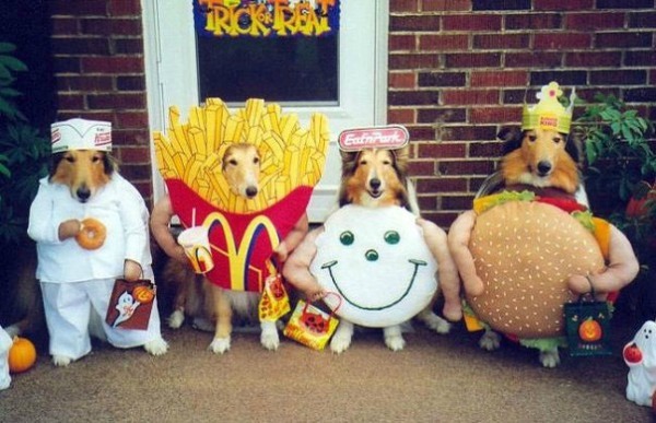 dogs-fast-food