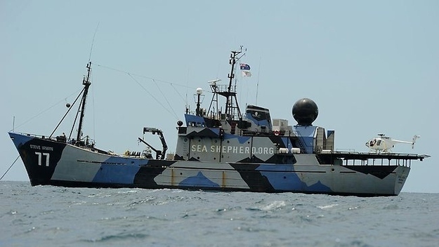 And the day marine conservation society Sea Shepherd named their flagship MY Steve Irwin.