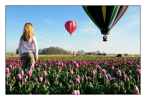 hot air balloon