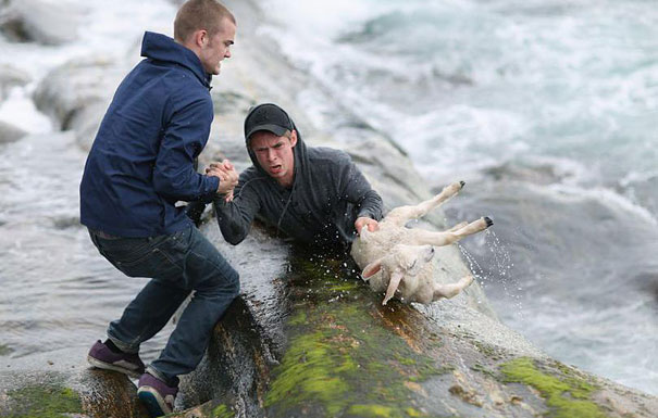 Top 15 Pics That Put Your Faith in Humanity Back on Track