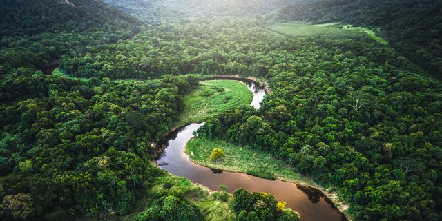 Discover Earth’s 10 Most Enchanting Forest Paradises